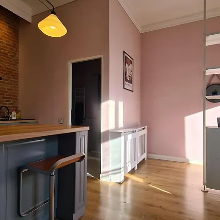 Apartment Republicii Brick Brasov